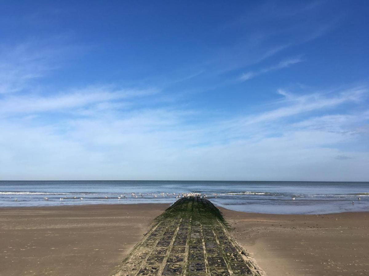 Campsite Caravan Aan Zee Arnani Middelkerke