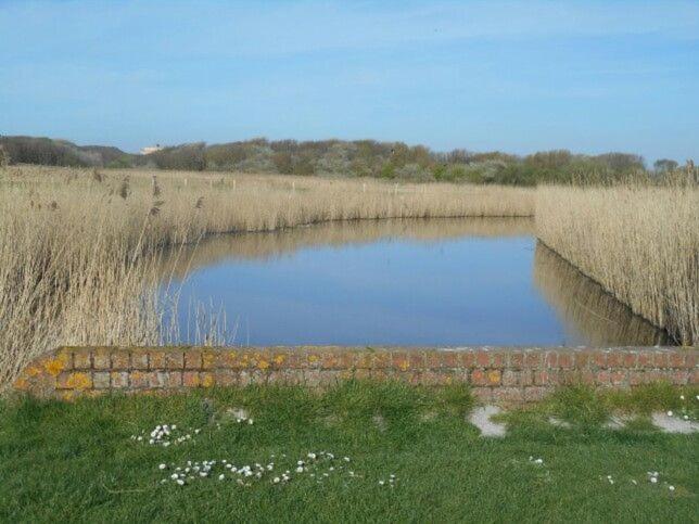 Caravan Aan Zee Arnani