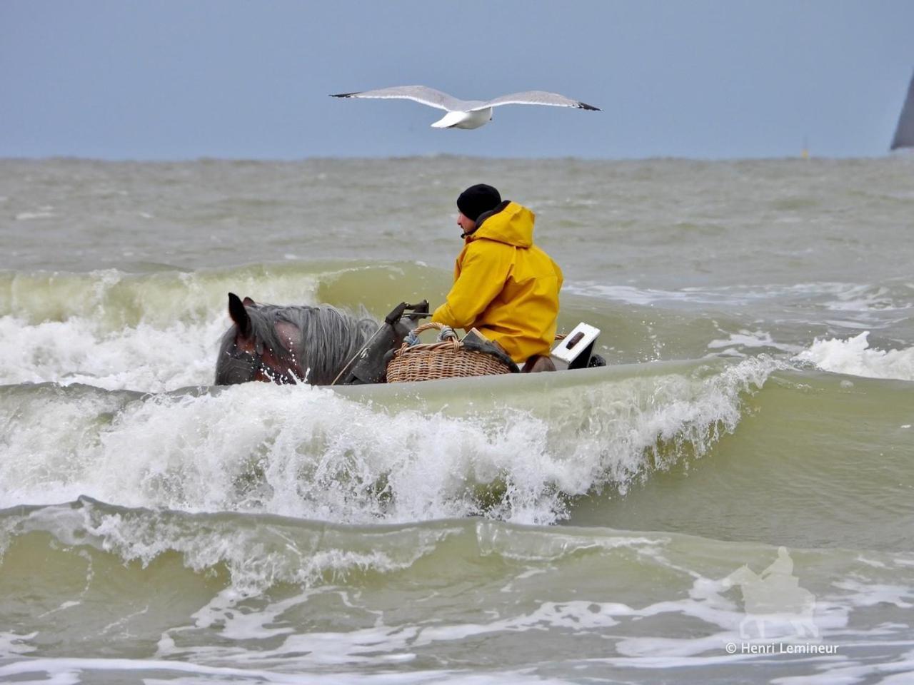 Caravan Aan Zee Arnani